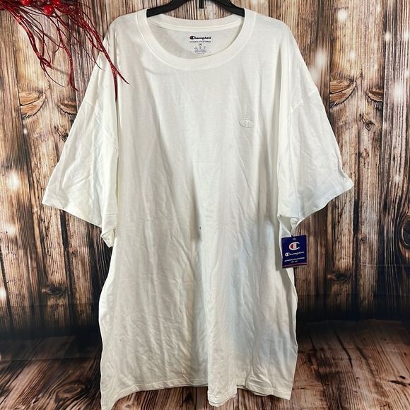 Champion Other - Champion Men's Cotton Jersey T-Shirt, White - 2XL
